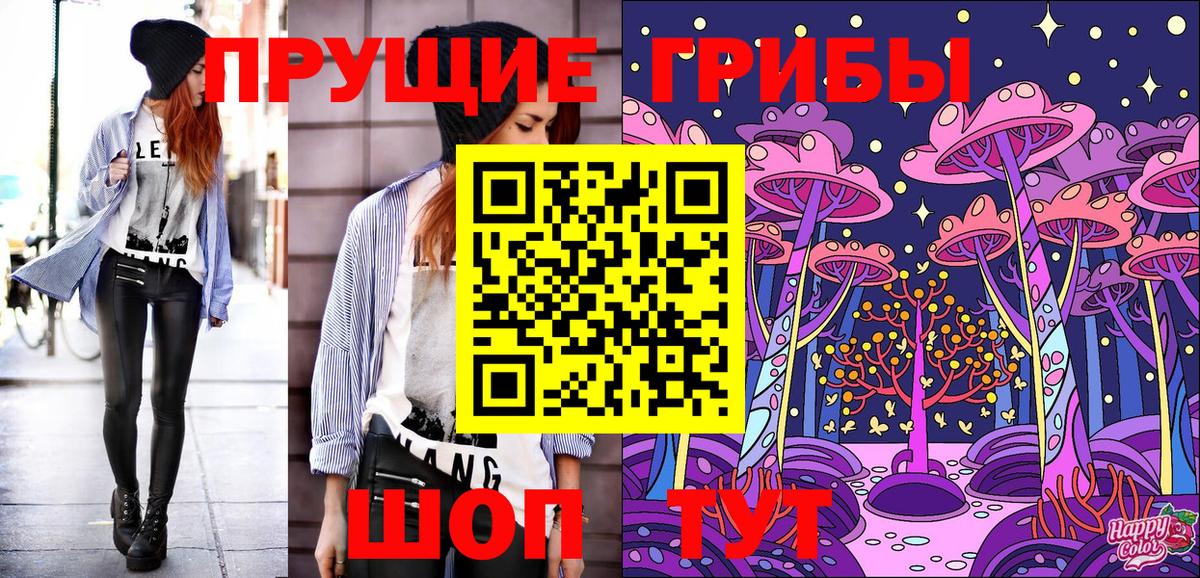 Ртищево  Псилоцибиновые грибы MAGIC MUSHROOMS  Псилоцибиновые грибы Psilocybe  Вход с VPN 