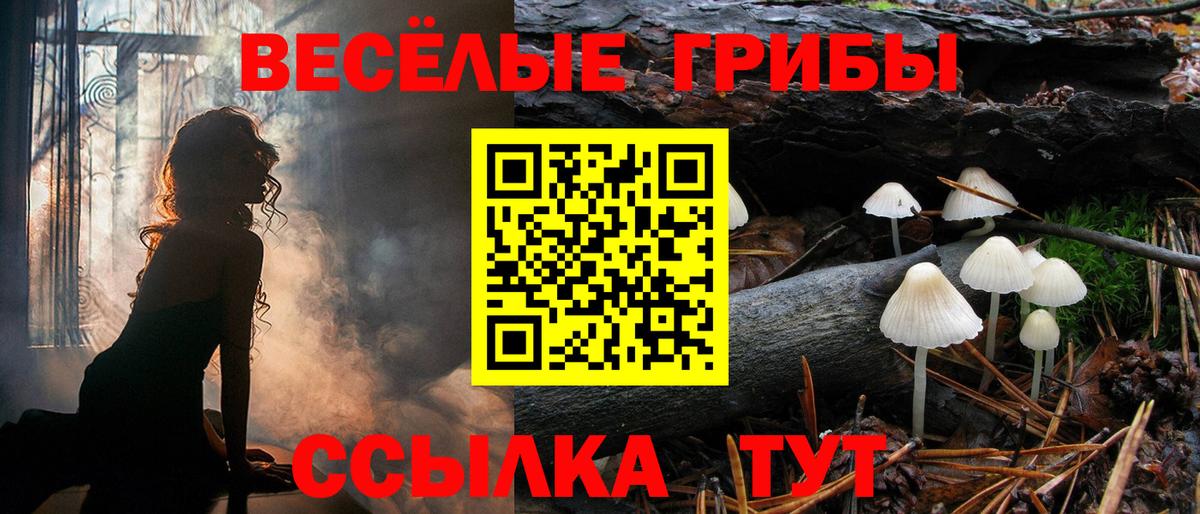 Галлюциногенные грибы мицелий Ртищево